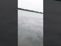 River betwa of jhansi Uttar Pradesh, #betwa #village #bankofriver #please  #subscribe #shivabhakti