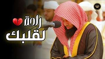 تلاوة راحة نفسية بترتيل عذب ومميز بصوت الشيخ أنس العمادي 1446 هـ