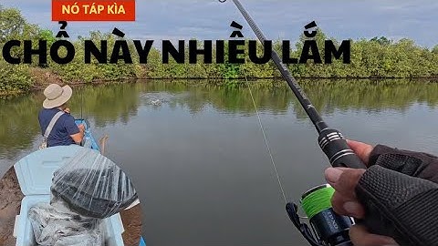 Câu cá chẽm Bình Đại thật thú vị, quăng qua quăng lại là kéo cá lên xuồng || VR Fishing