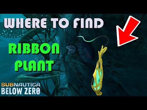 Subnautica Below Zero how to find Ribbon Plant