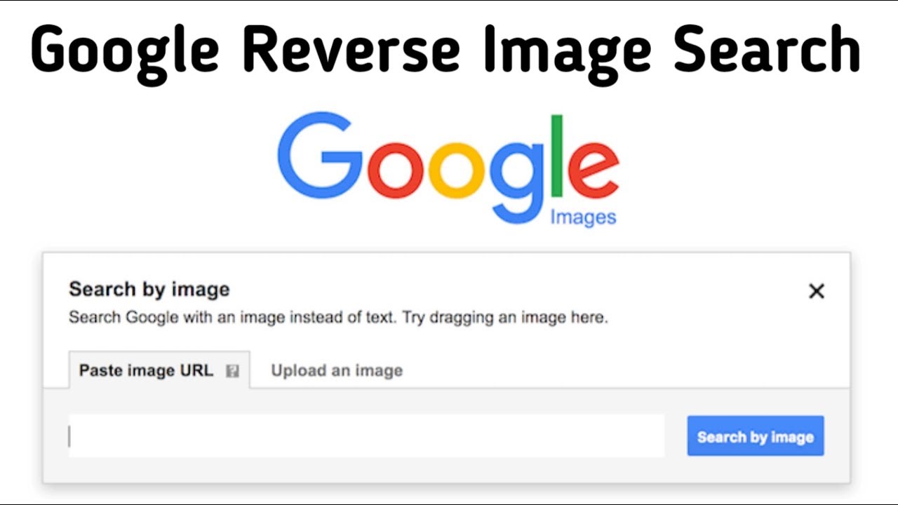 google reverse image search