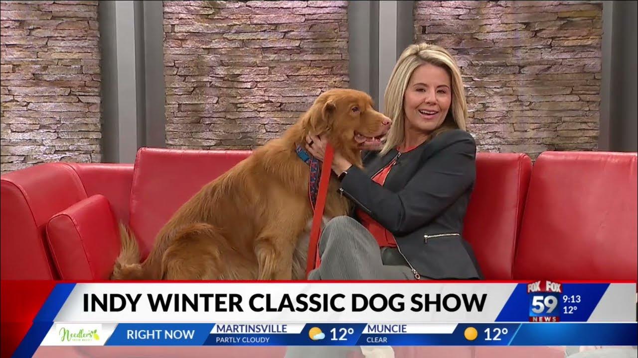 Indy Winter Classic Dog show starts Thursday YouTube