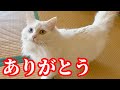 皆様、本当にありがとうございました