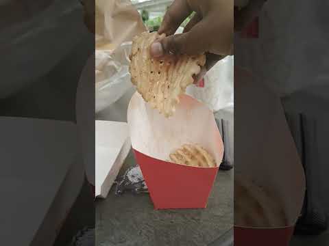 largest fry