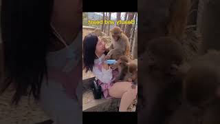 Funny Pet Animals Random Clips?Have you seen such a cute baby monkey?trending animals reels