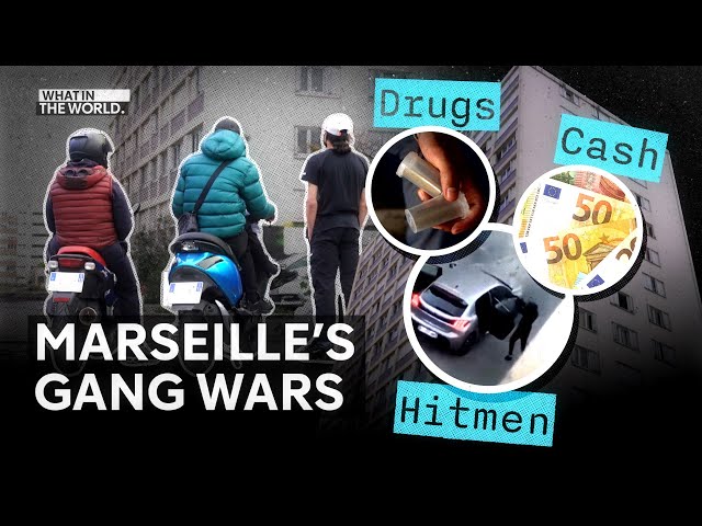 How drug gangs operate in Europe