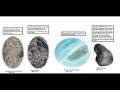 True Everything Size Comparison Cooperation Universe Part 1267