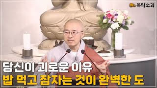 [돈오83] 완벽한 도 속에 살고 있다, 배고프면 밥 먹고 졸리면 자는 것이 도, 자기의 살림살이