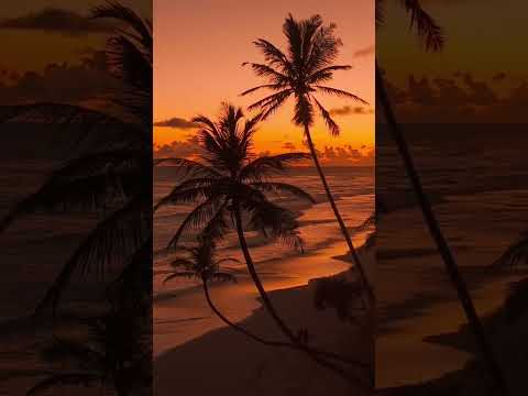 The Song That Silenced The Bar Poetry Kode 