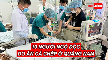 10 người ngộ độc do ăn cá chép ở Quảng Nam, BV Chợ Rẫy đem thuốc hiếm đi cứu | Báo Người Lao Động