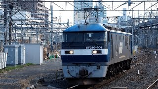 2020/03/15 JR Freight: EF210-901 at Omiya