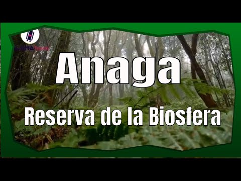 Anaga - Reserva de la Biosfera #Tenerife #Anaga