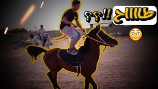 طلعة حماسية على الخيل😍🔥🐎🐎