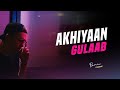 Akhiyaan Gulaab (Remix)| Exzost | Mitraz | Shahid Kapoor, Kriti Sanon | New Bollywood EDM Remix 2024