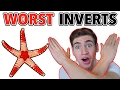 5 Inverts Beginners Should AVOID!