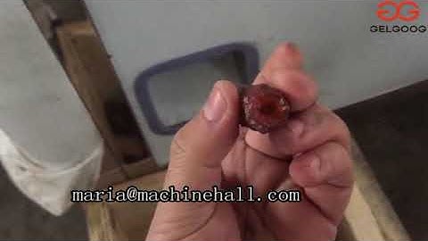 Palm Dates Pitting Date Seeds Removing Machine High Speed