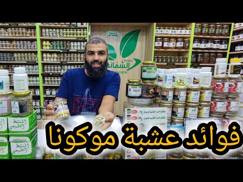 تعرف على عشبة موكونا في تحسين الأداء الجنسي للرجال وتأتيرها في تحسين جودة السائل الحيوان المنوي