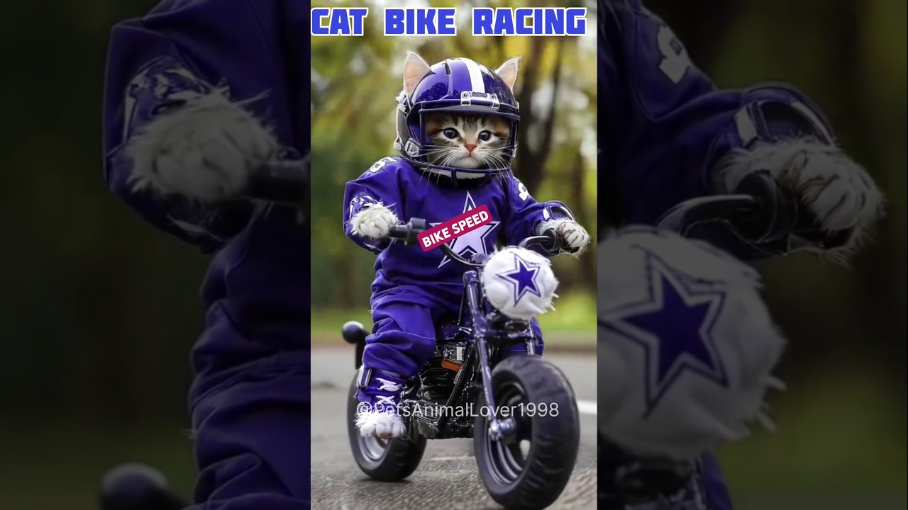 Cat bike racing speed wow slow vs fast gjb..#funny #music #comedy # ...