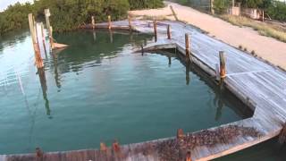 Ap10 Professional Video Drone