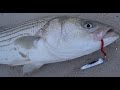 Striped Bass Surfcasting with Tin Lures