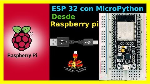Programar ESP 32 desde Raspberry pi con MicroPython