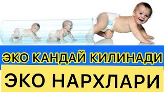 ЭКО КАНДАЙ КИЛИНАДИ