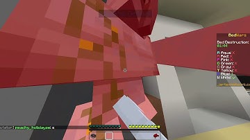 Minecraft Bug Report #jartex 1