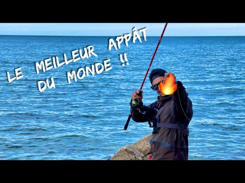 Vidéo: Les 9 meilleures lignes de pêche au bar de 2022