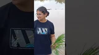 Umu Agriculture Department.Usha Martin University Umu Agriculture Department.Usha Martin University