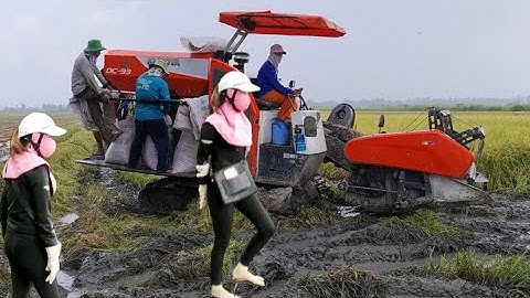 MÁY CẮT LÚA KUBOTA DC93 | MÁY CUỘN RƠM - CẬN CẢNH CÙNG HOTGIR MIỀN TÂY