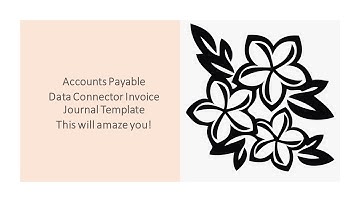 Accounts Payable Data Connector Templates   Must See!