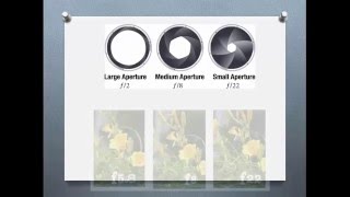 Belajar Fotografi Bagi Pemula, ISO-APERTURE-SHUTTER SPEED