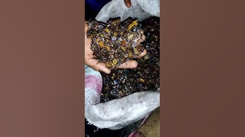 Cashew Shell Cake for burning purpose monthly huge quantity available PH - 7036491689.