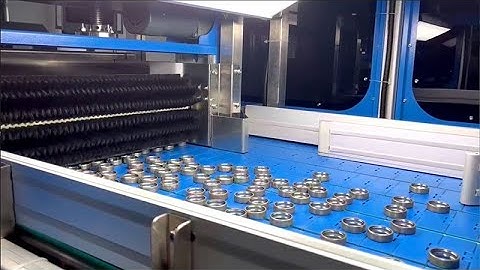 The one bearing ring vision counting and packaging machine for VP