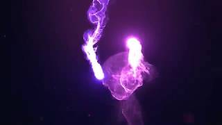 Free After Effects Templates - Epic Light – Apple Motion
