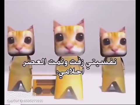 نفسيتي زفت ونمت العصر احلامي