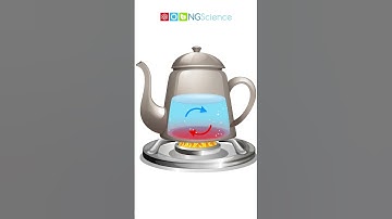 Heat Transfer – Convection #shorts #ngscience