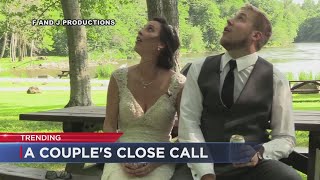 Wedding video tree falls
