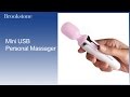 Mini USB Personal Massager