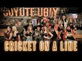 Colt Ford - Cricket on a Line (Coyote Ugly Party Edition)