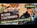 Conheça a maior vinícola do Brasil e a gastronomia da SERRA GAÚCHA