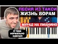МУРАД - Жизнь ворам | Песня из такси - Шамиль Смолян | на пианино |  Дагестанцы кинули таксиста
