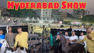 Biggest Hyderabadi Goat Show India | Sabse Bade Kaan Ke Hyderabadi.