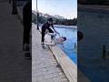 بتحبني طبعا رمى صاهر ع مي Shorts Funny Youtubeshorts بتحبني طبعا رمى صاهر ع مي Shorts Funny Youtubeshorts