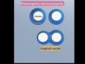 Plasmogamy and karyogamy | for up tgt | kvs