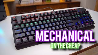 The Cheapest Mechanical Keyboard Worth It?
