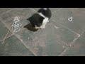 Kitten Kucing Baru Lahir 