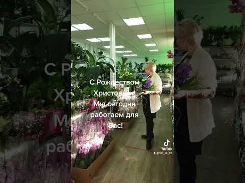 Цветочный рынок в