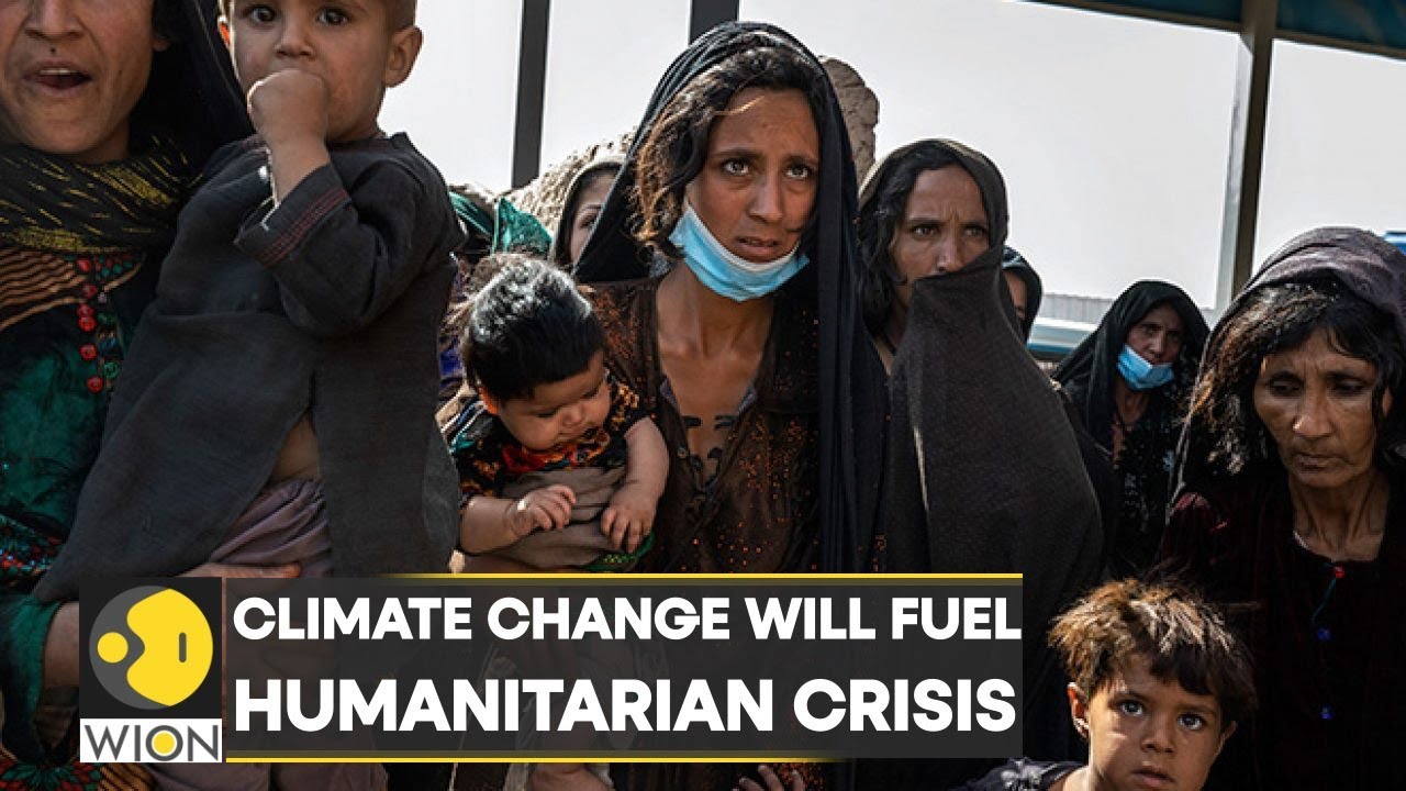 WION Climate Tracker: Climate Change will fuel Humanitarian Crisis in ...