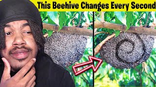 Strange Videos on the Internet That Will Make You Question Everything
